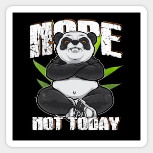 Nope Not Today Angry & Lazy Panda Sticker